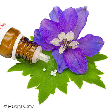 Über die Homöpathie